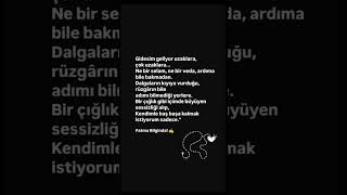 Gidesim Geliyor Uzaklara