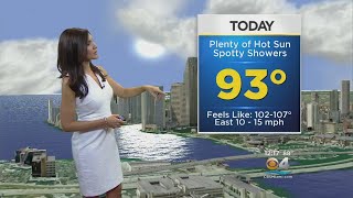 CBSMiami.com Weather @ Your Desk 8-9-17 1PM