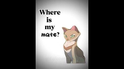 Where is my…? Firestar edit // THIS TOOK SO LONG-😭😭 // Warrior Cats // #warriorcats #edit