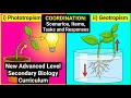 Coordination-1, SCENARIOS, ITEMS, TASKS and RESPONSES on PHOTOTROPISM and GEOTROPISM.