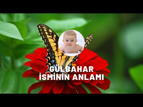 GÜLBAHAR isminin anlamı nedir? Kişisel özellikleri nelerdir?