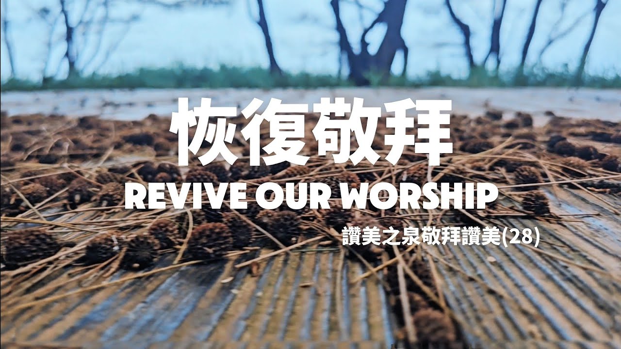 恢復敬拜 Revive Our Worship - 讚美之泉敬拜讚美(28) - YouTube
