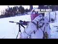 Охота на косулю, оленя и лося. Охотничьи приключения в Норвегии (NORDIC WILD HUNTER)