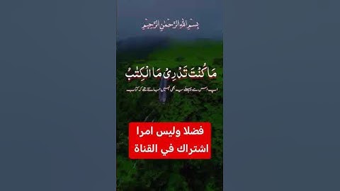 القرآن الكريم #رمضانمبارك #اكسبلور #duet #دويتو #تيك_توك #لايك #في #فولو #حالات_واتس #ترند