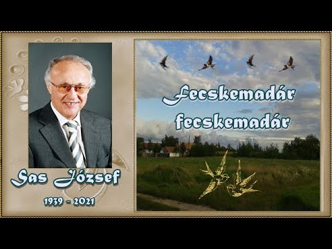 Sas József : Fecskemadár fecskemadár