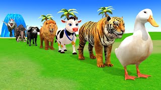 Long Slide Game With Cow Elephant Gorilla Hippopotamus Tiger 3d Animal Game Funny 3d AnimalsVideo