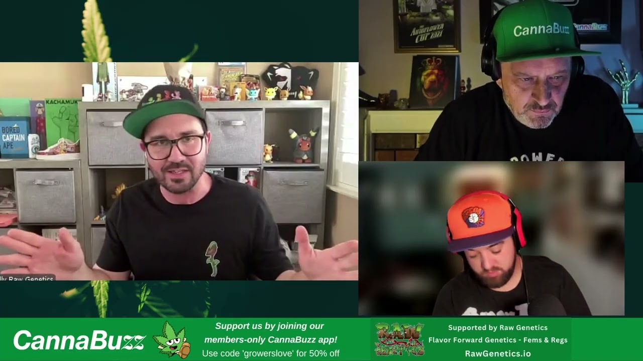 Kaizen & Zikigai: Brad from Raw Genetics dives into the Future