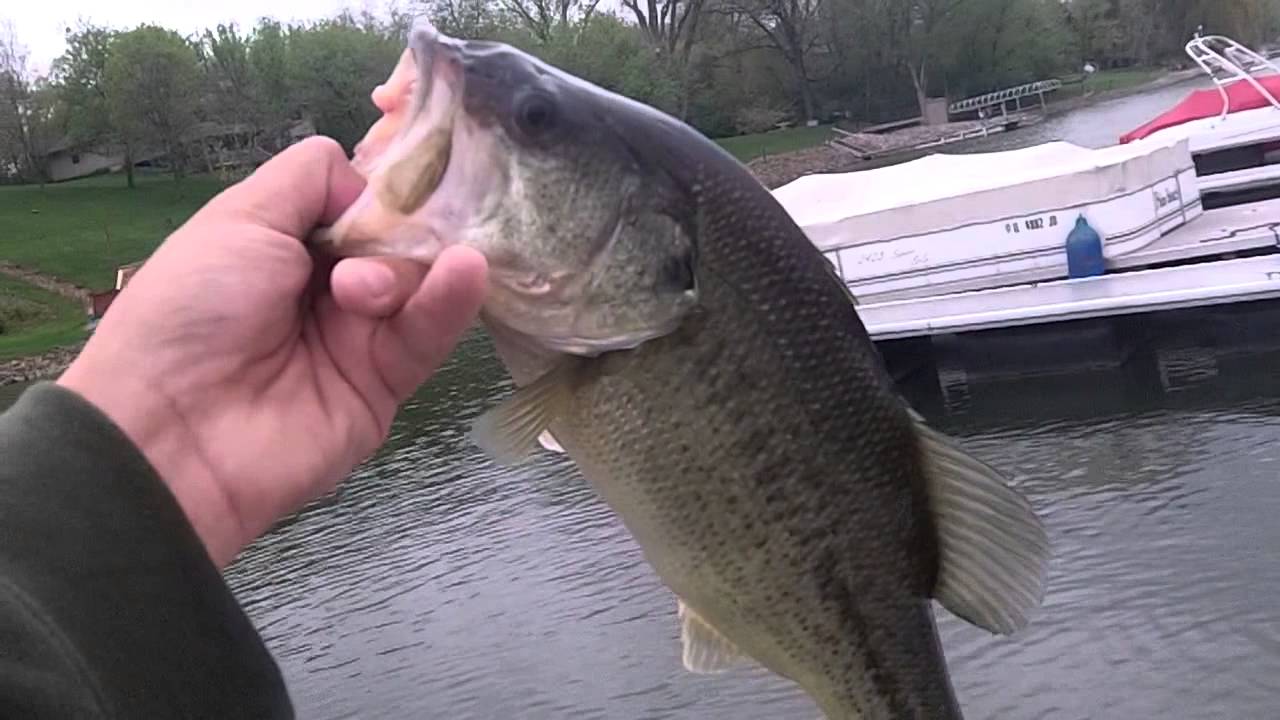 Cold front bass fishing YouTube