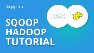 Sqoop Hadoop Tutorial | Apache Sqoop Tutorial | Sqoop Import Data From MySQL to HDFS | Simplilearn