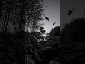 هي زقه وتجيب في زقه اوعي تتعب متقولش لا هي زقه وتجيب في زقه اوعي تتعب متقولش لا