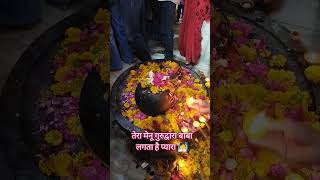 #तेरा मेनू गुरुद्वारा बाबा लगता है प्यारा #tanding #shortvideo #viral #shong🧖❤️
