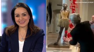 Lefties losing it: Rita Panahi slams climate activist defacing artwork