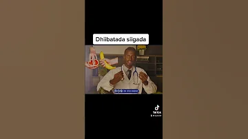 Dhibaatada Siigada 