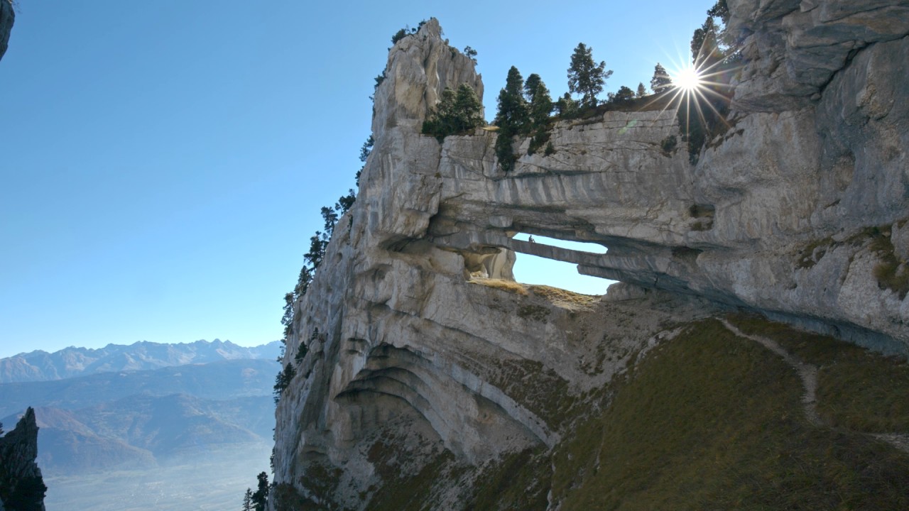 chartreuse tour france