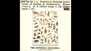 ☆LP Chitinous Ensemble / Chitinous(LP) - VENTO AZUL RECORDS