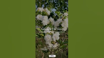 ولولا إذ دخلت جنتك قلت ما شاء الله | سورة الكهف | عبد الباسط عبد الصمد #quran