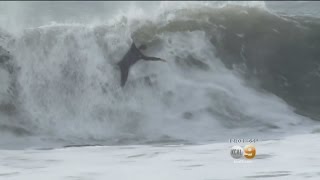 Massive waves pound southern california beaches