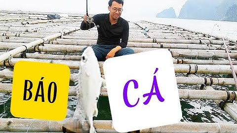 Đi câu cá đục bằng mồi giun biển ở tuần châu/ đi câu cá kể