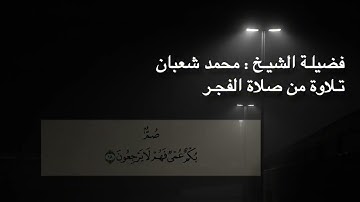 فضيلة الشيخ : محمد شعبان افندي | تلاوة هادئة من سورة البقرة