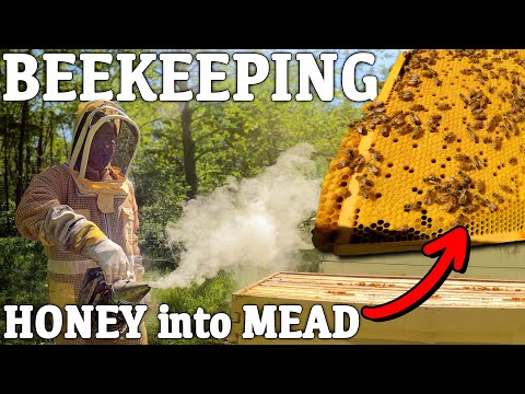 Checking the Hives - Learning to Beekeep