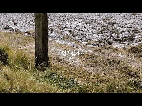 29.TOVLOV 2022  4. 사명의 십자가 (feat.강찬)