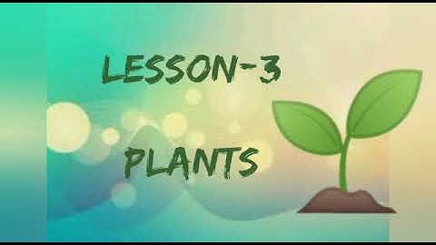 PLANTS-Part-1/3rd std/Science/ lesson-3/ Term 2/ state board/Samacheer syllabus/ Tamilnadu