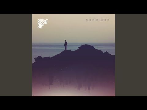 Take It or Leave It - Great Good Fine Ok