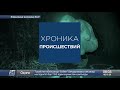 Хроника происшествий за 05.10