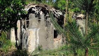 Off-the Grid Adventure: Discovering Remote WW2 Bunkers in the Forest! Episode 43