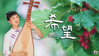 Beautiful, Relaxing Chinese Music: ’Hope’ | Chinese Music | Musical Moments