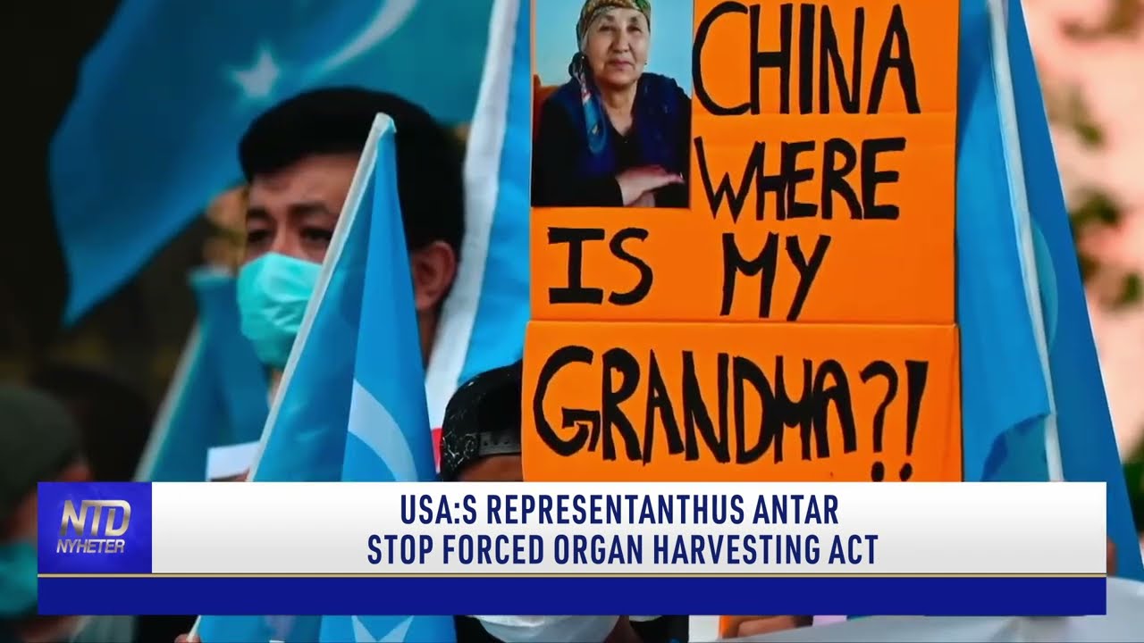 USA:s representanthus antar Stop Forced Organ Harvesting Act | NTD NYHETER