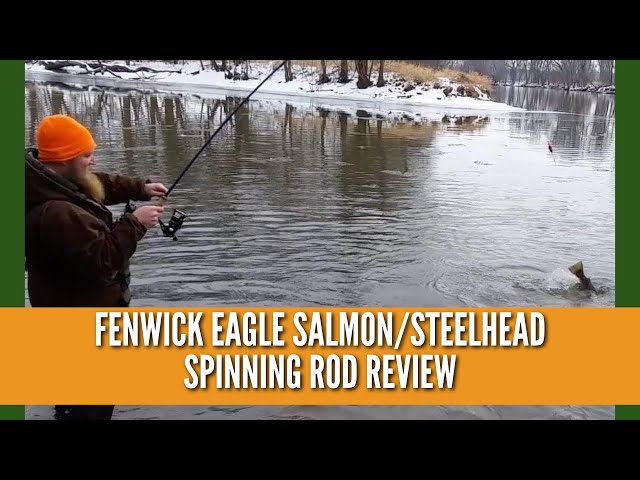 Fenwick Eagle Salmon/Steelhead Spinning Rod Review // Fishing Rod Reviews  // Versatile Fishing Rod 