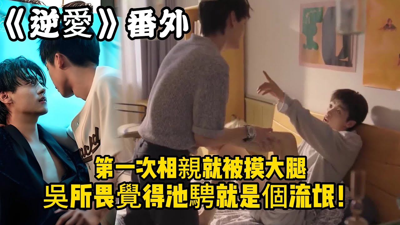 《逆愛》：番外！相親對象摸我腿！第一次相親就被摸大腿，吳所畏覺得池騁就是個流氓！#田栩宁 #梓渝 #吴所畏 #池骋 #逆爱 #revenged