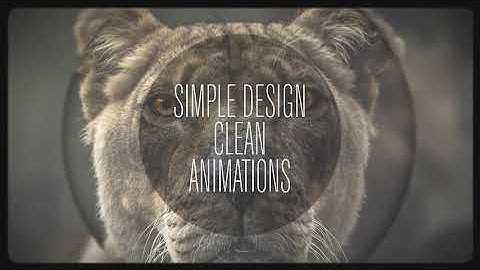 Circle Dynamic Slideshow | After Effects Project - Envato elements