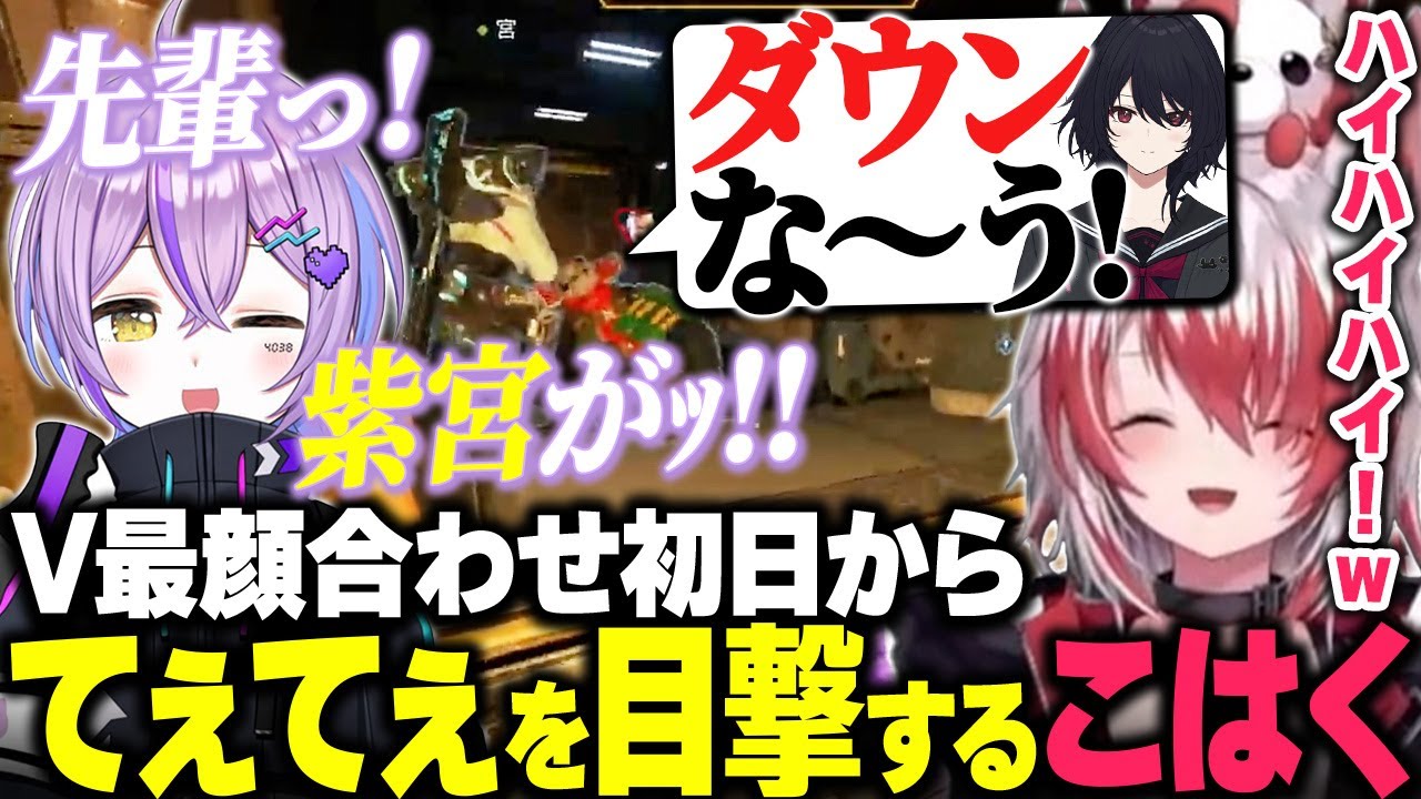 【V最協】顔合わせ初日から紫宮るなと如月れんのてぇてぇを目撃する秋雪こはく【APEX/秋雪こはく 切り抜き 紫宮るな 如月れん V最協S6】