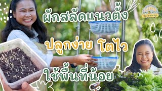 ปลูกผักสลัดแนวตั้ง พื้นที่น้อยก็ปลูกผักได้! | Urban Gardening ปิ๊ง! ไอเดียปลูก