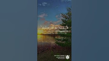 #تلاوة من #سورة_لقمان بصوت #هيثم_الدخين #قرآن #قرآن_كريم #آيات #استغفرالله #الحمدلله #quran