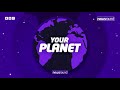 Rare tigers, Polar bears under threat and a Freedom Eagle | Newsround