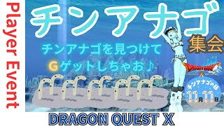 【ドラクエ１０】チンアナゴ集会o(^▽^)oチンアナゴに扮したスタッフを見つけるとプレゼントが！詳細は概要欄のプレイベ登録をチェック！　DQ10　DQX　ドラゴンクエスト１０