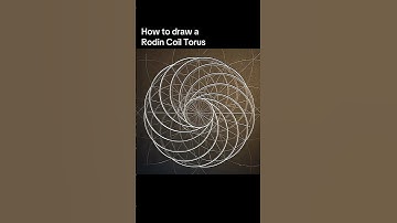 How to draw a Rodin Coil Torus