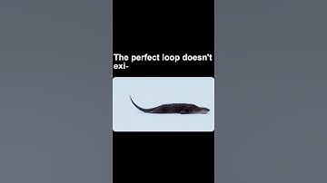 perfect loop exists?? #shorts #meme