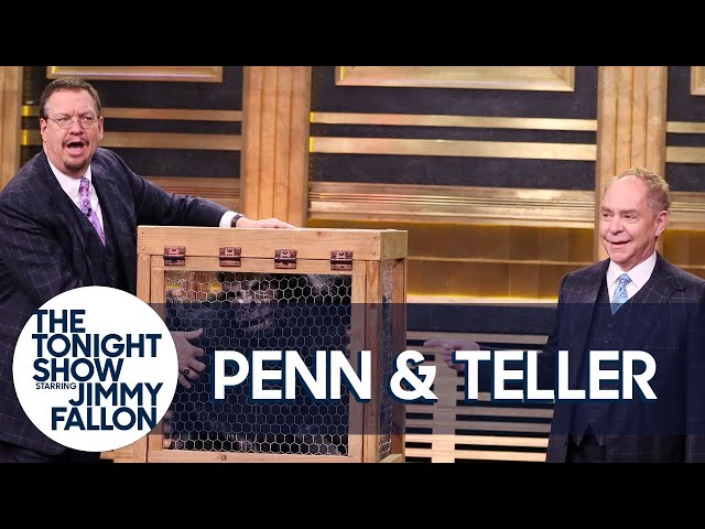 Penn & Teller Give a Lesson in Misdirection Using a Vanishing Chicken class=