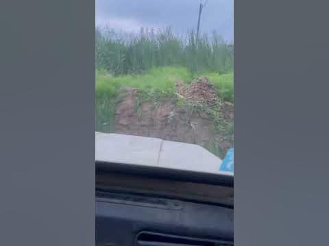 Луазик - YouTube