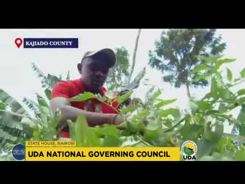 LIVE UDA National Governing Council 