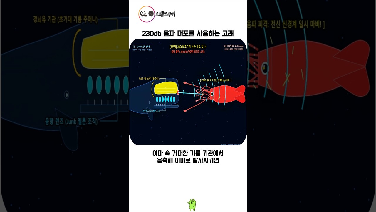 230db 음파 대포를 사용하는 고래