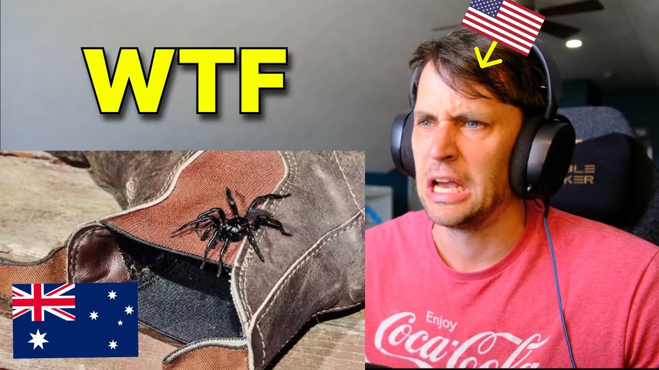 American reacts to the Top 5 Australian Spiders