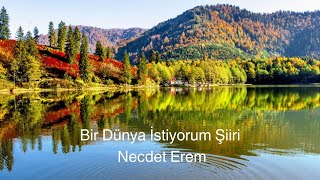 Bir Dünya İstiyorum Şiiri, Necdet Erem