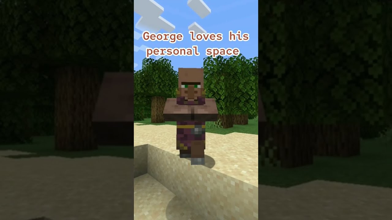 I shall take you space #mcyt #minecraft #minecraftmemes#villager  #bob