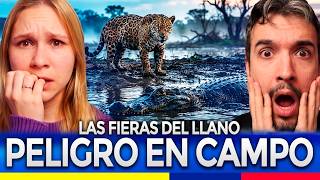 Buscando a la FIERA que se COMIÓ EL GANADO | El Morroco 🇨🇴 | Chuncanos Reaccionan