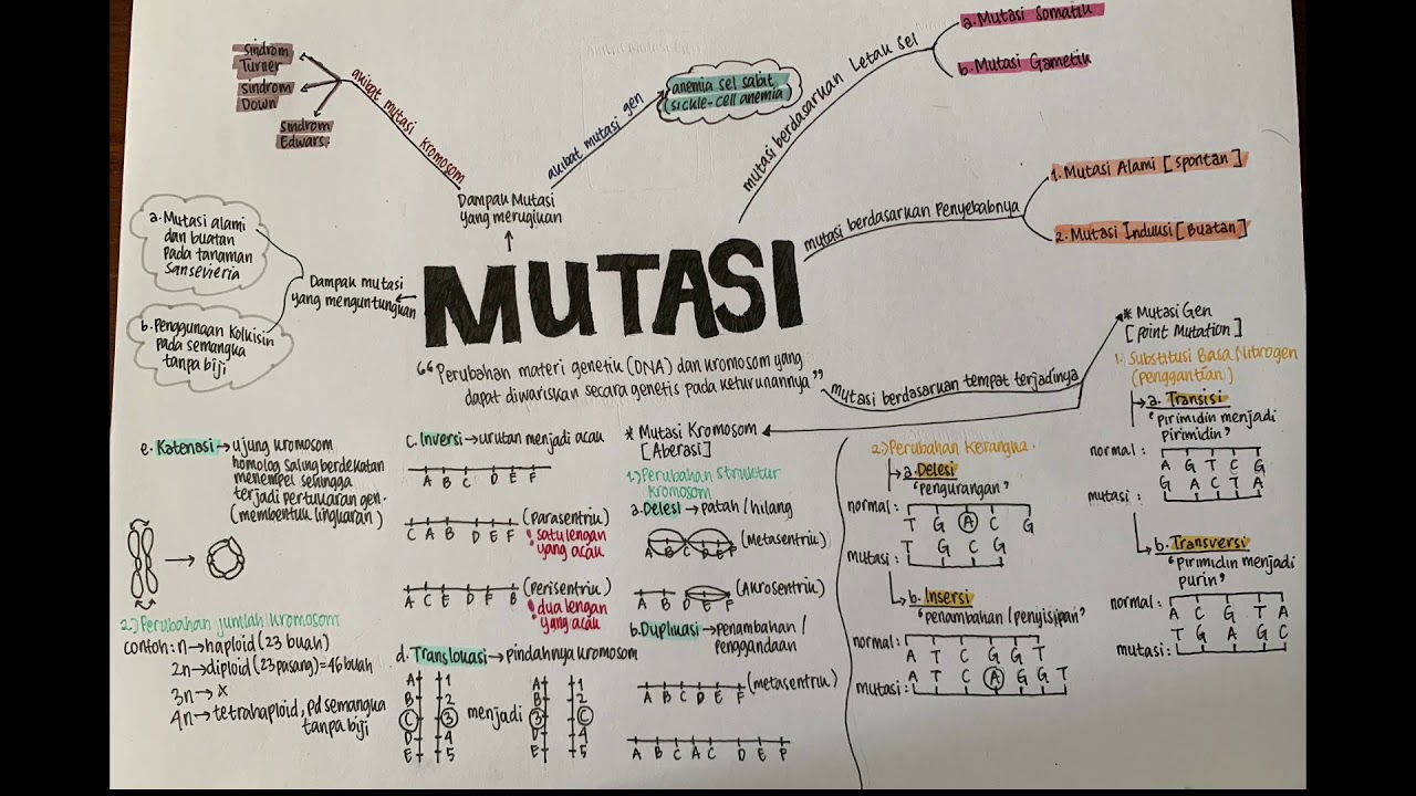 Peta Konsep Mutasi Youtube